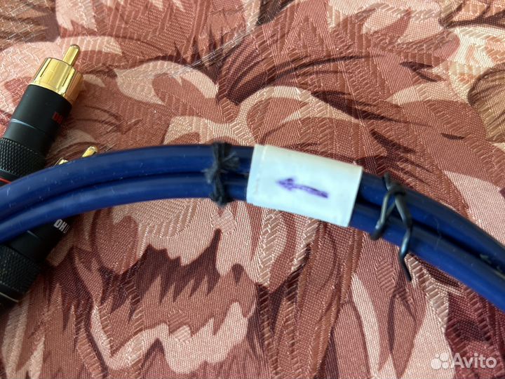 Dh labs silver sonic