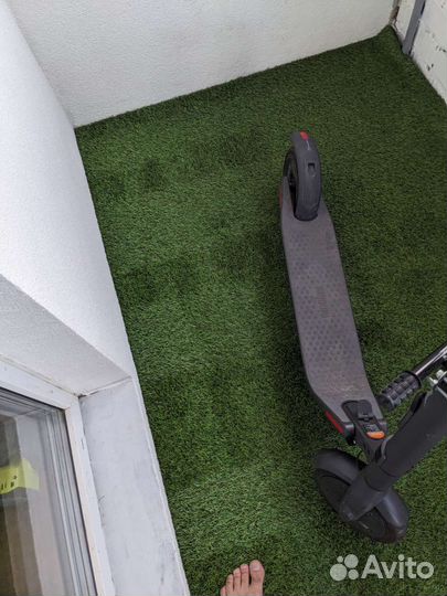 Ninebot KickScooter E22 grey