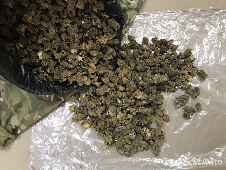 Сморчки сушёные
