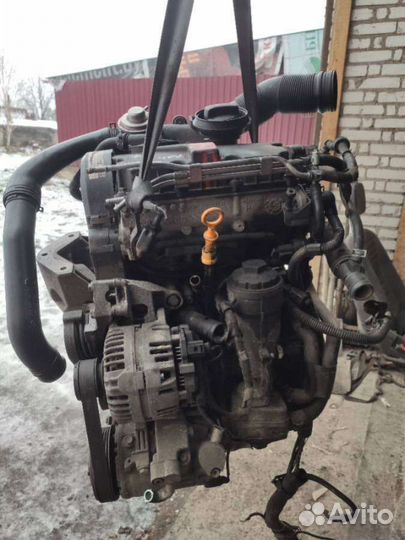 Двигатель Volkswagen Polo 4 (2001 - 2009) 1.4 AMF