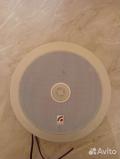 Звук для магазина, офиса, дома roxton, inter m