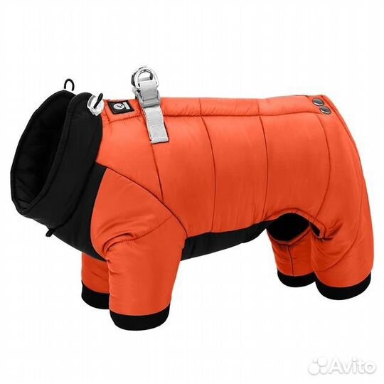 Одежда для собак