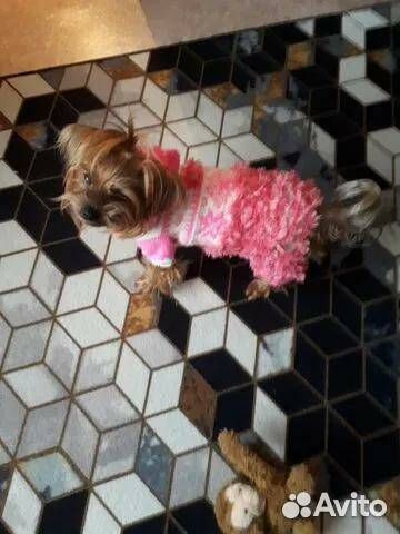 Комбинезончик для маленькой собаки