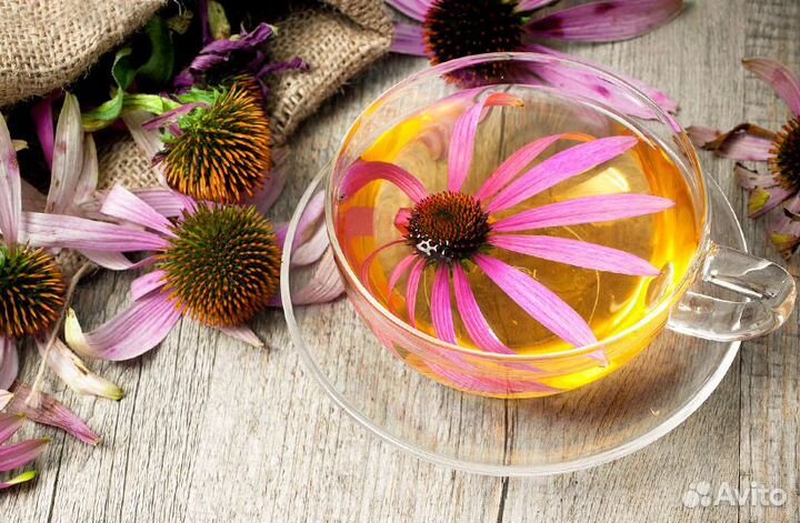 Экстракты Новинка