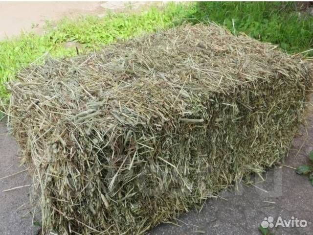 Кормушки,поилки,зерно,сено,солома,опилки