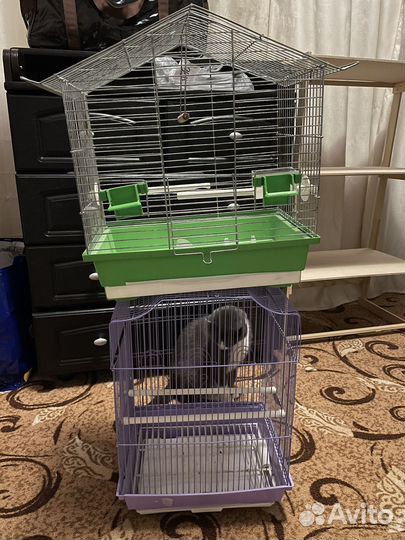 Клетка для попугая бу