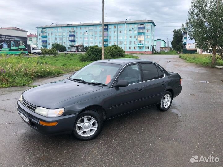 Бюджетная покраска полировка автомобилей