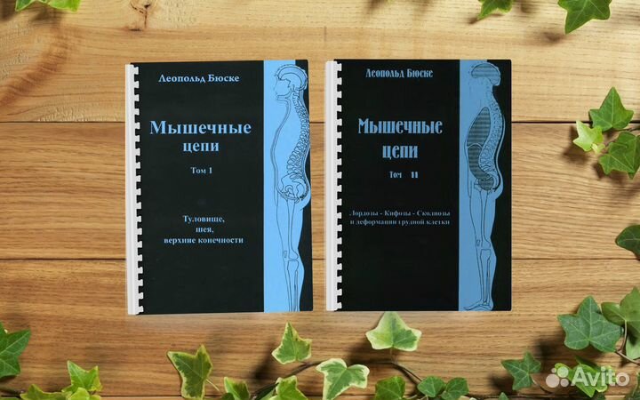 Мышечные цепи Бюске