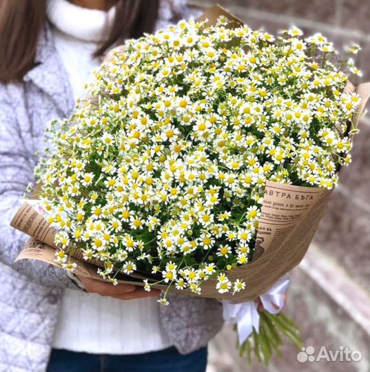 Букет из матрикарии