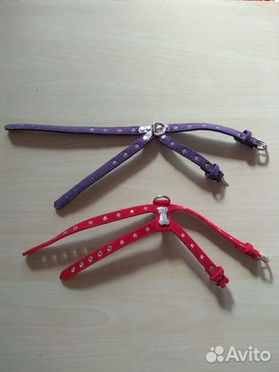 Комбинезоны и одежда для собаки