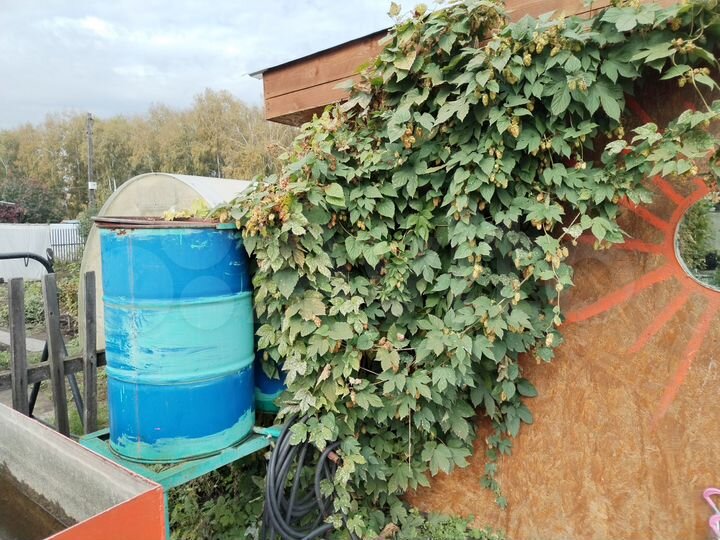 Дача 15 м² на участке 4,5 сот.