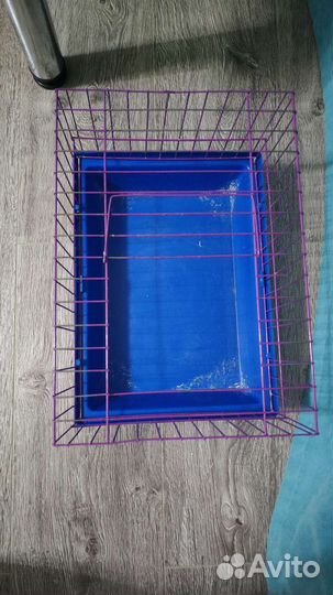 Клетка для морской свинки