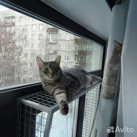 Ограничитель на откидное окно /антикошка купить в Санкт-Петербурге ...