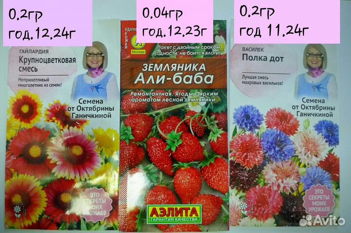 Семена Цветов,семена кактуса