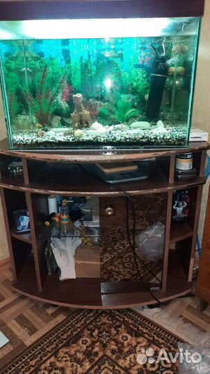 Аквариум