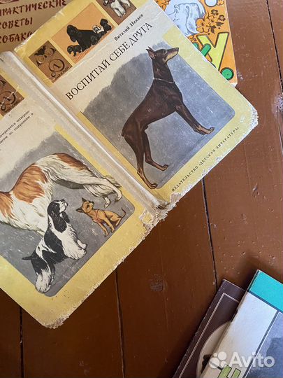 Книги - баководство, диетика, воспитание, охота