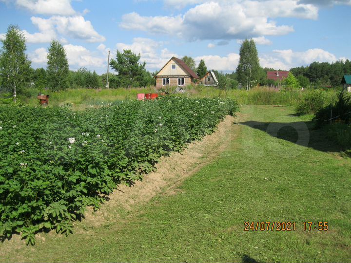 Участок 6 сот. (СНТ, ДНП)