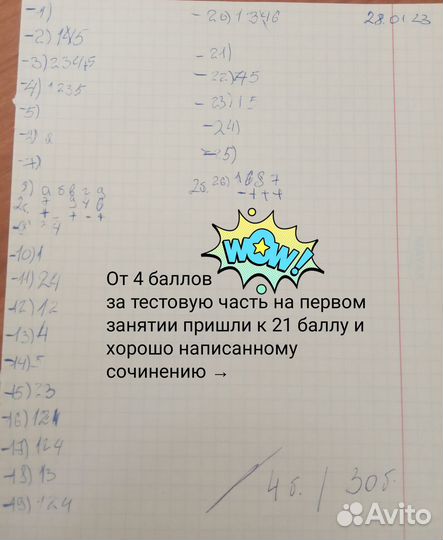 Репетитор литература, русский язык