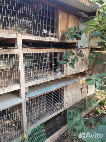 Клетки для кроликов бу