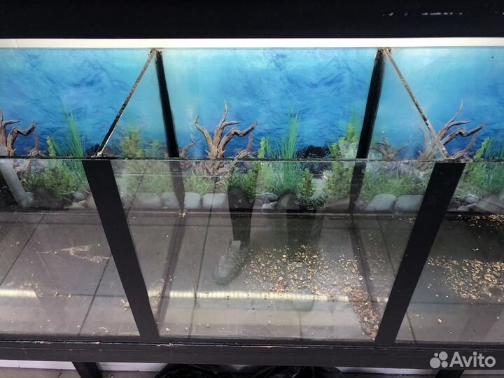 Аквариум