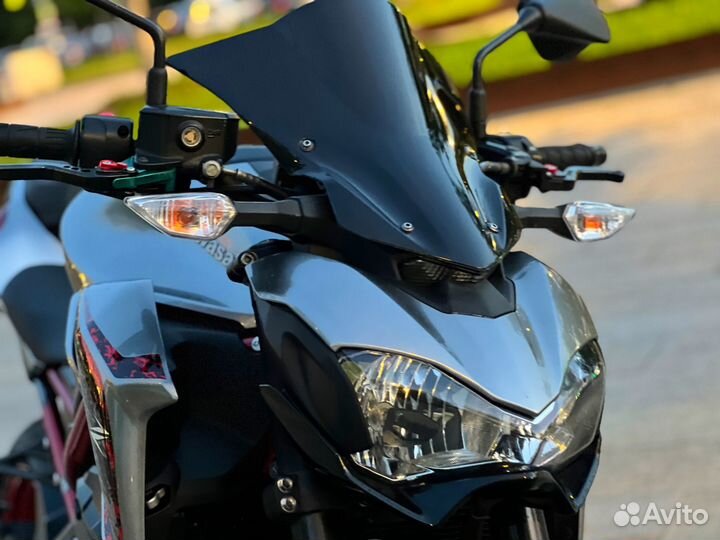 Kawasaki Z900 (ZR900B) 2019 год выпуска