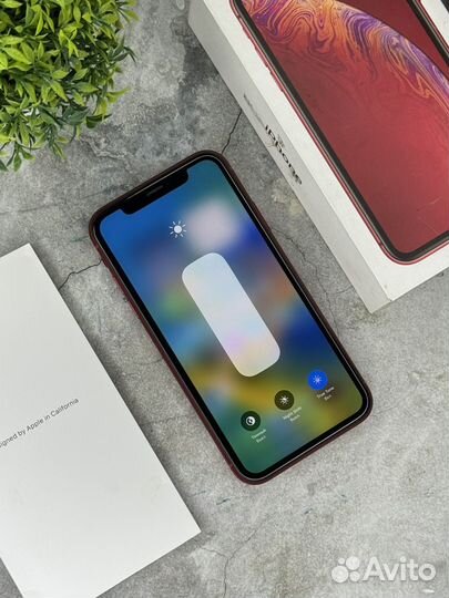 iPhone Xr, 64 ГБ