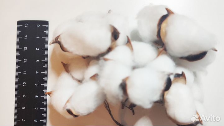 Хлопок на маленькой ножке набор 5шт