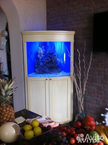 Обслуживание (Чистка ) Аквариумов Спб или Лен Об