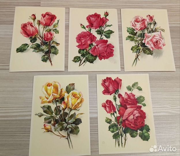 Открытки винтаж времён СССР цветы чистые