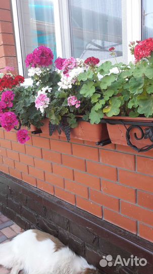 Металлическая основа доя цветочных кашпо