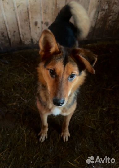 Спасите меня