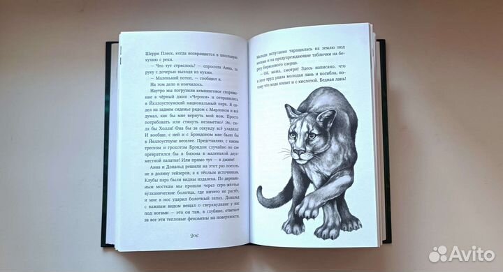 Дети леса: 1 и 2 часть (Катя Брандис)