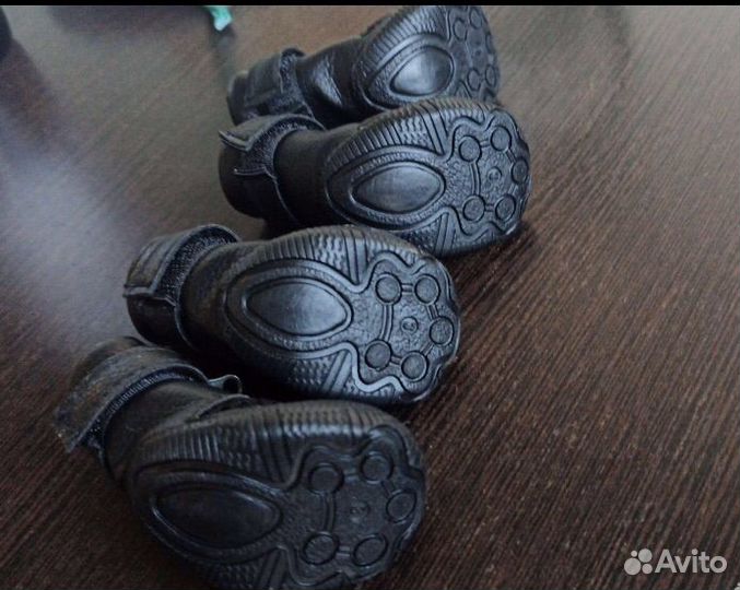 Ботинки для маленьких собак