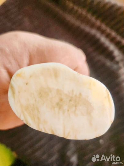 Клык, бивеньморжа(имитация )