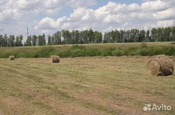 Продам сено в рулонах 2023 г