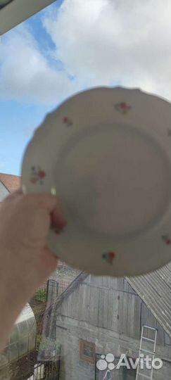 Антиквариат костяной фарфор Zeh Scherzer 1930г Гер