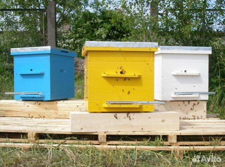 Ульи для пчел
