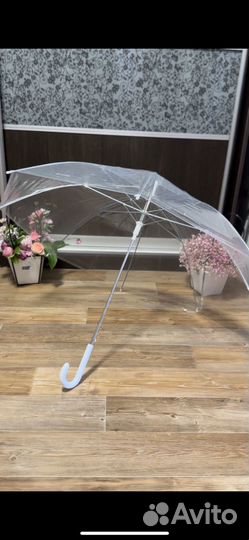 Зонты прозрачные