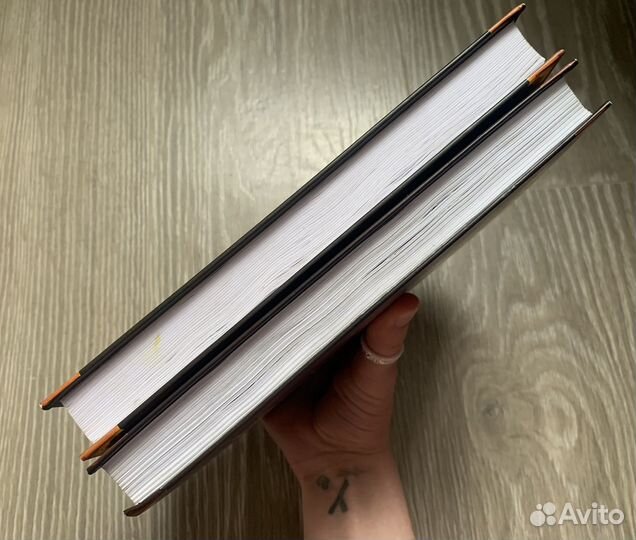 Коты воители 4 цикл Главная надежда