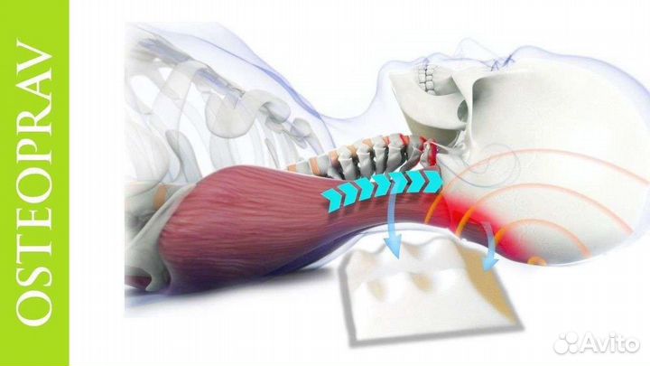 Тренажёр-массажёр, забота о вашем позвоночнике