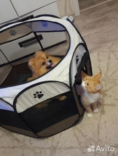 Вольер для собак, щенков,кошек, манеж для кроликов