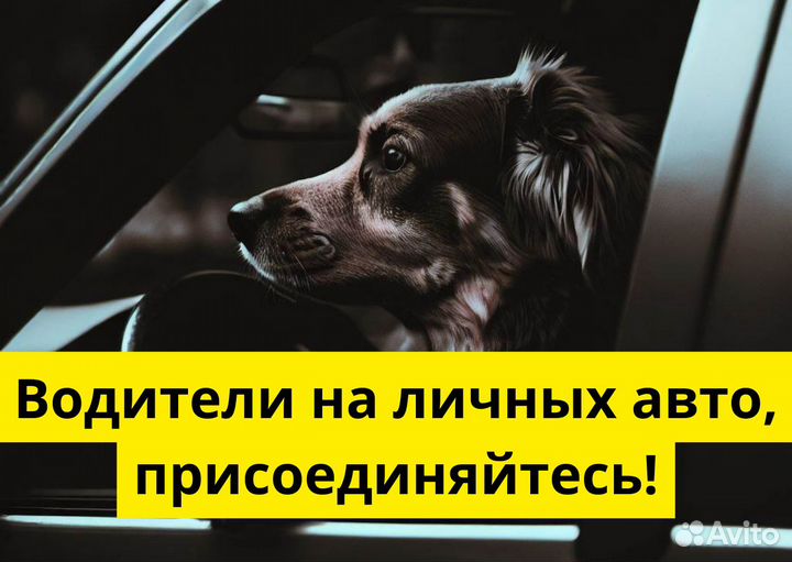 Работа с личным тс в Яндекс.Go
