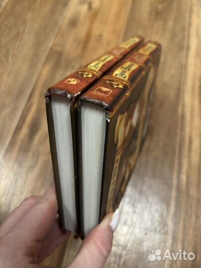 Коты воители Судьба небесного племени