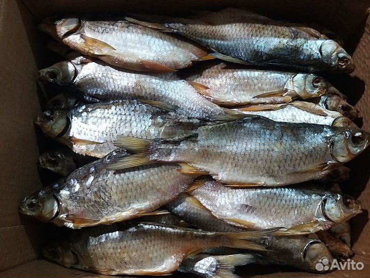 Вобла вяленая крупная в Москве опт