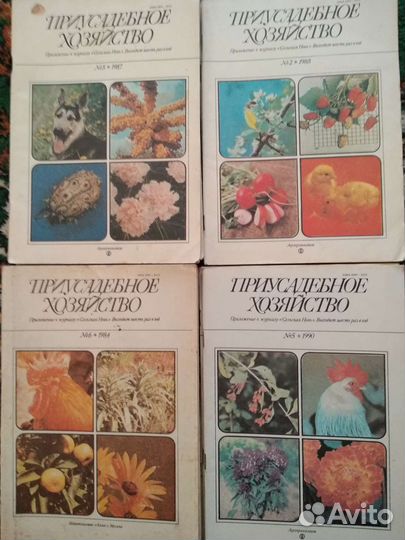 Приусадебное хозяйство от 1983 г