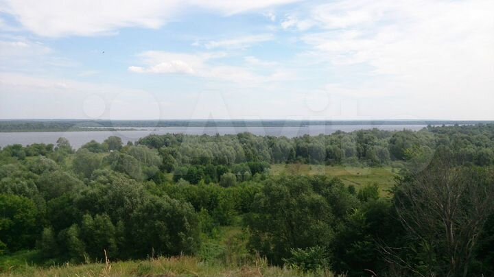 Участок 98 сот. (СНТ, ДНП)