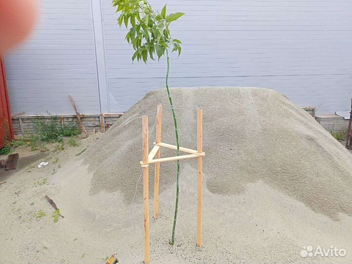 Садовые подставки для деревьев и кустарников
