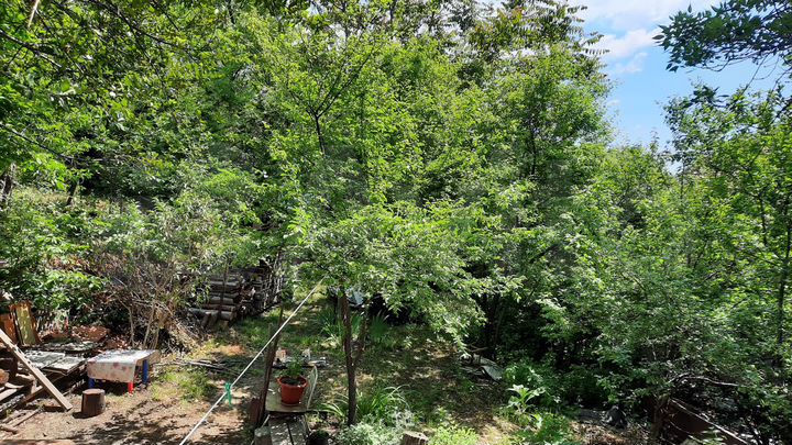 Участок 5,5 сот. (ИЖС)