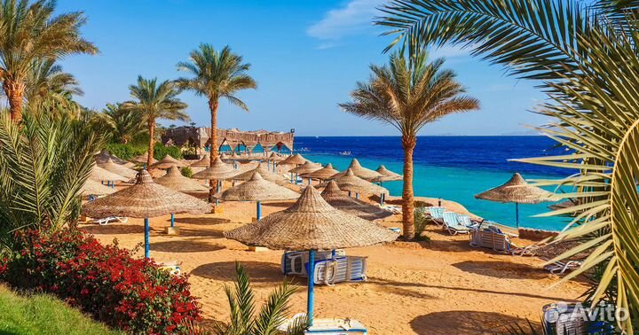 Египет из Казани