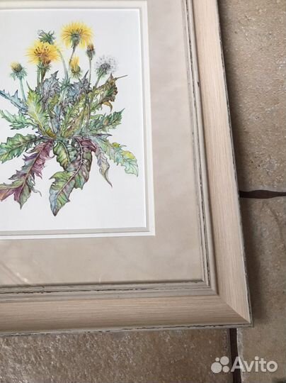 Картины в раме Одуванчики и Артишоки